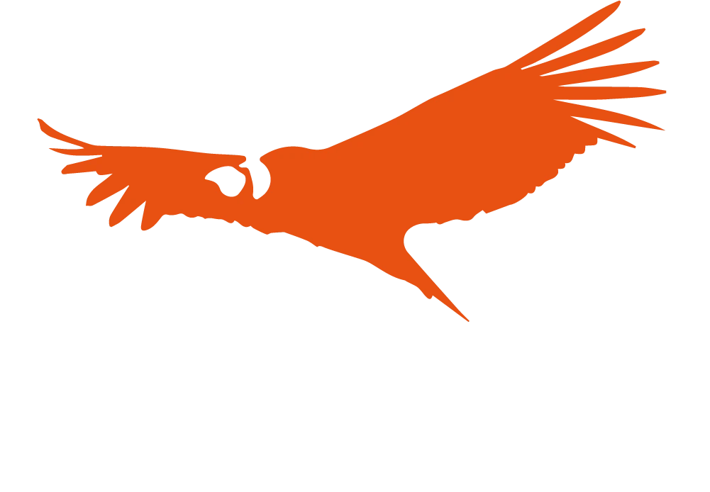 El Cóndor